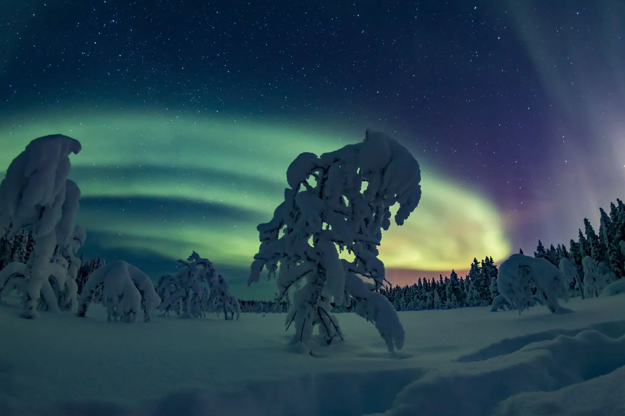 Aurores boréales Laponie finlandaise