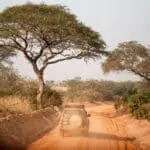 piste safari savane ouganda