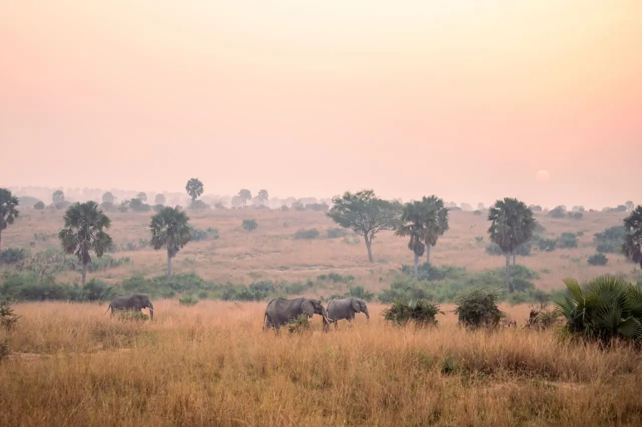 Uganda Nomads