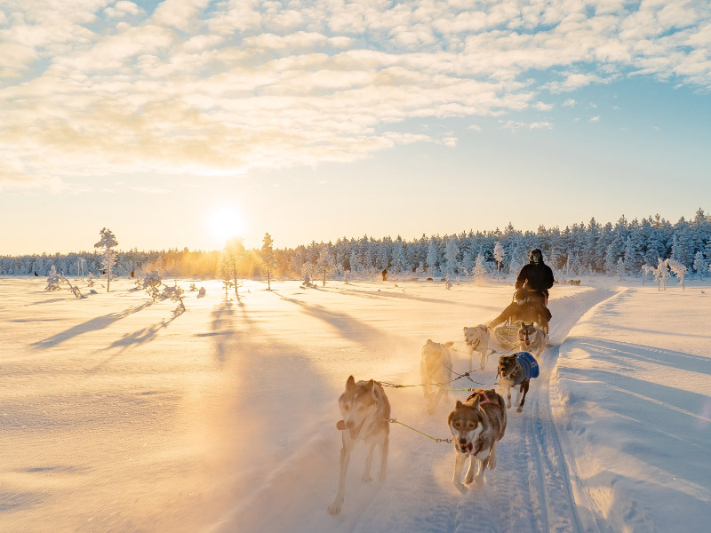 Image of Lapland Travel